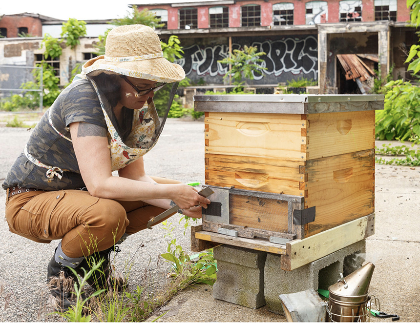 How to find your local beekeepers – Pixie's Pocket