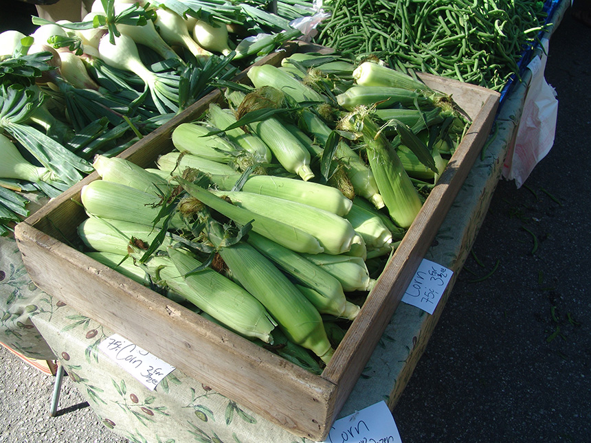 Ears of corn for sale in a wooden box