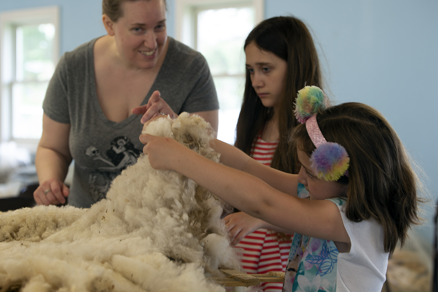 Family skirting wool