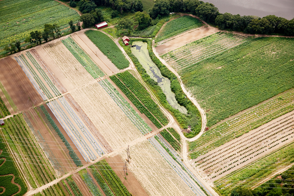 Aeriall view of crops and farmland