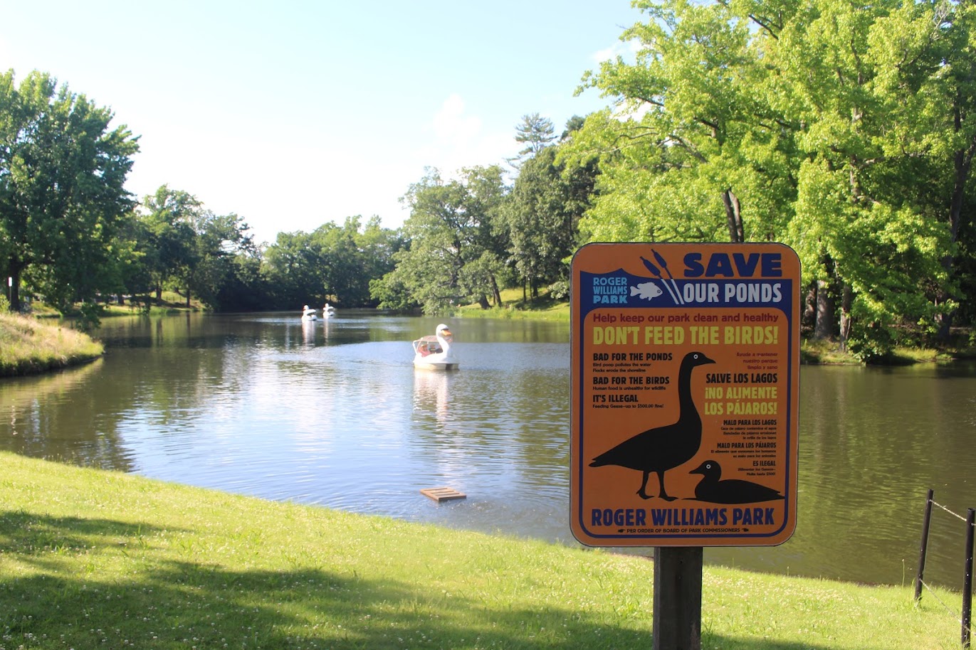 sign warning against feeding the geese