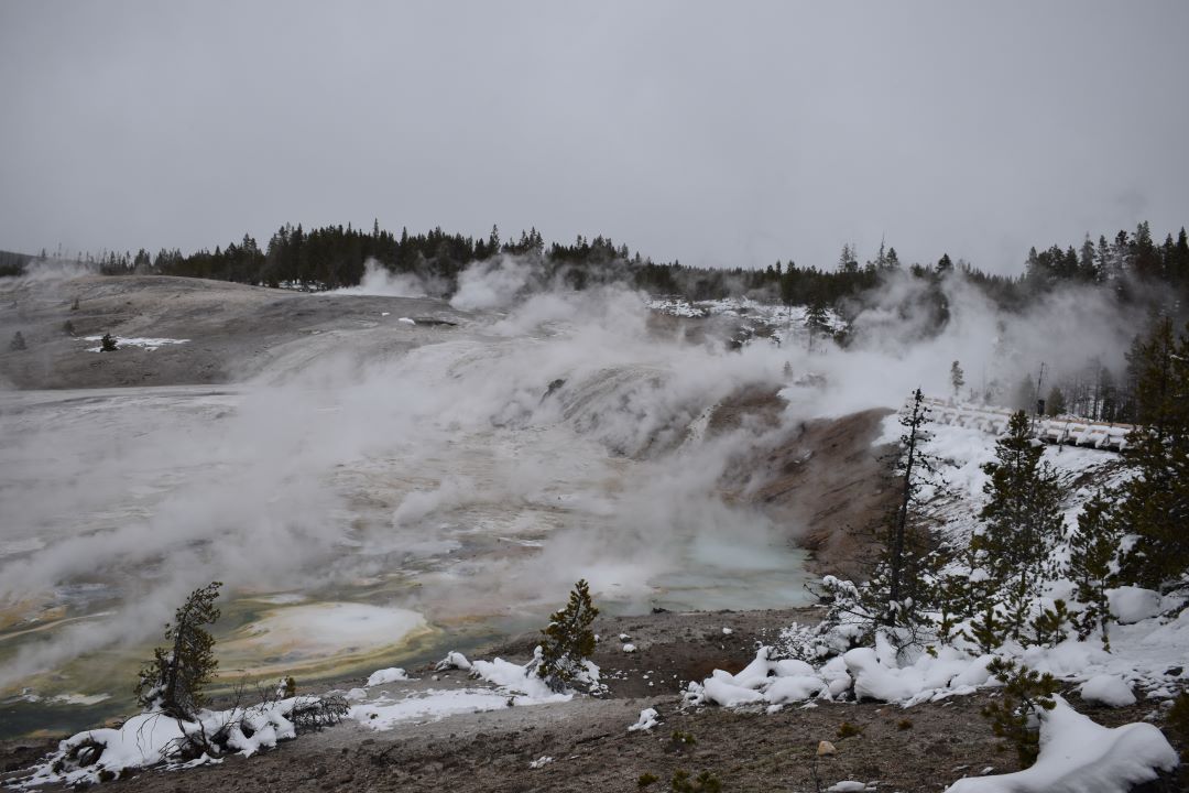 Norris Geyser Basin
